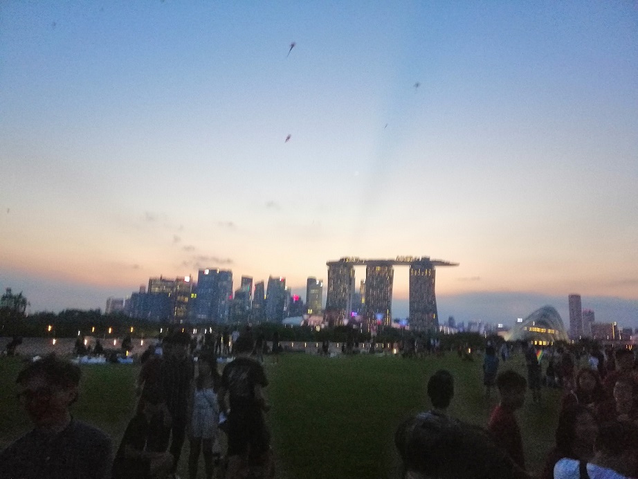 Marina Barrage Night Skyline